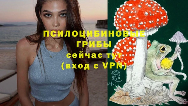 спайс Баксан