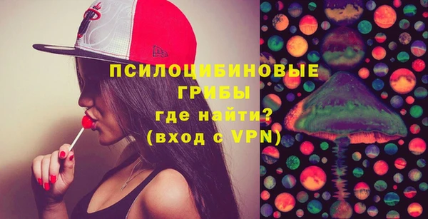 спайс Баксан