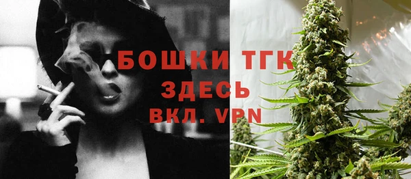спайс Баксан