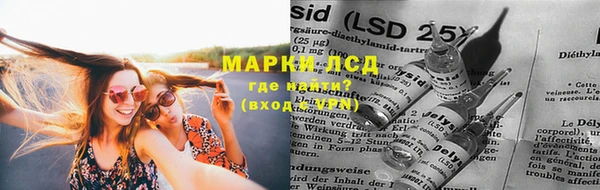 спайс Баксан