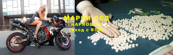 спайс Баксан